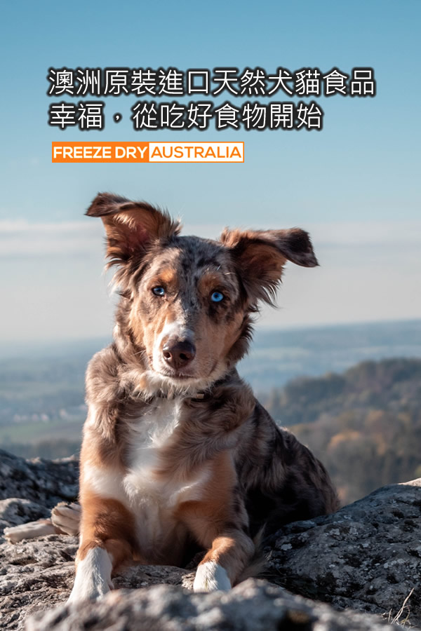 沛菲寵物-澳洲天然狗飼料-狗保健食品